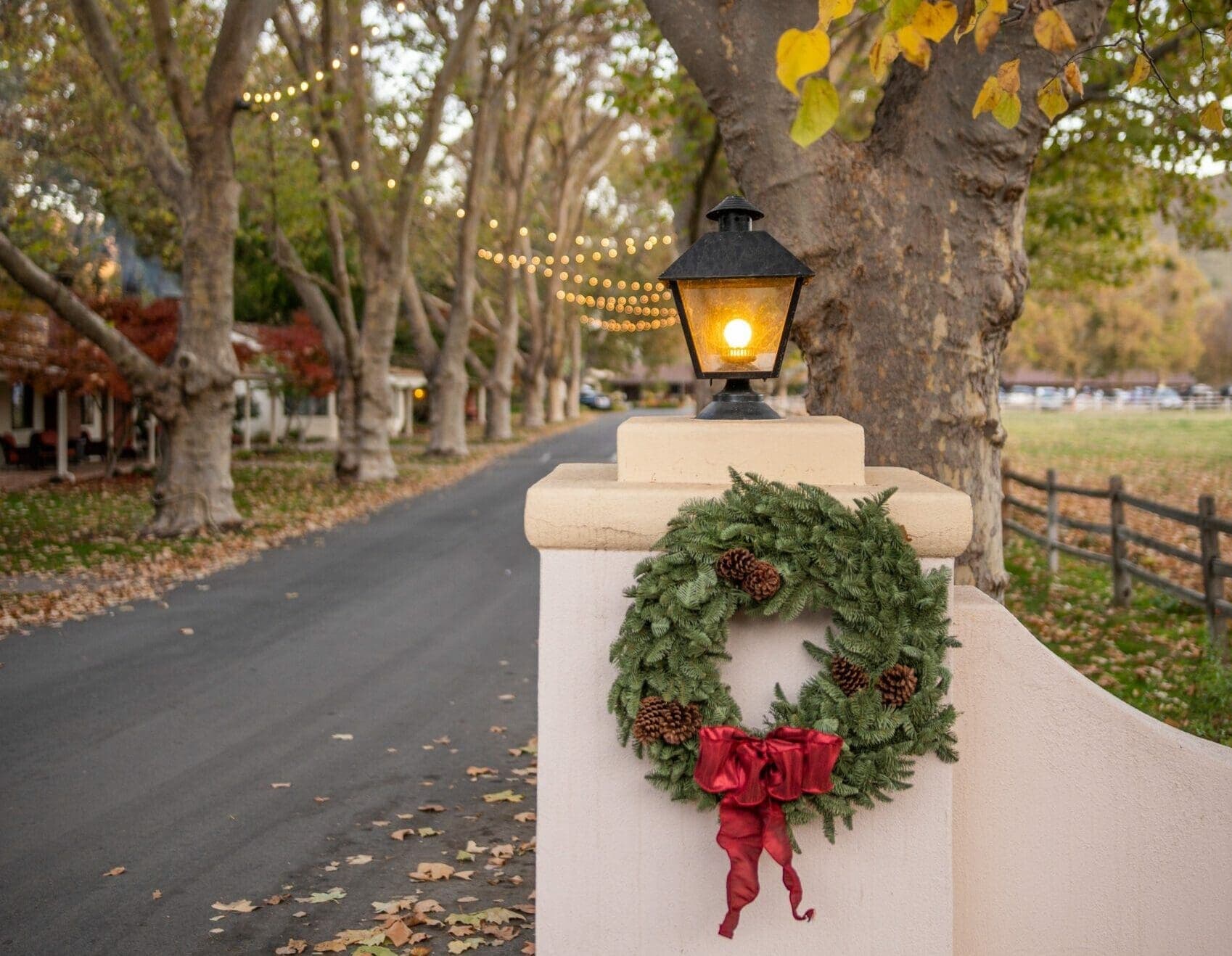 christmas wreath hanging on entrance fence