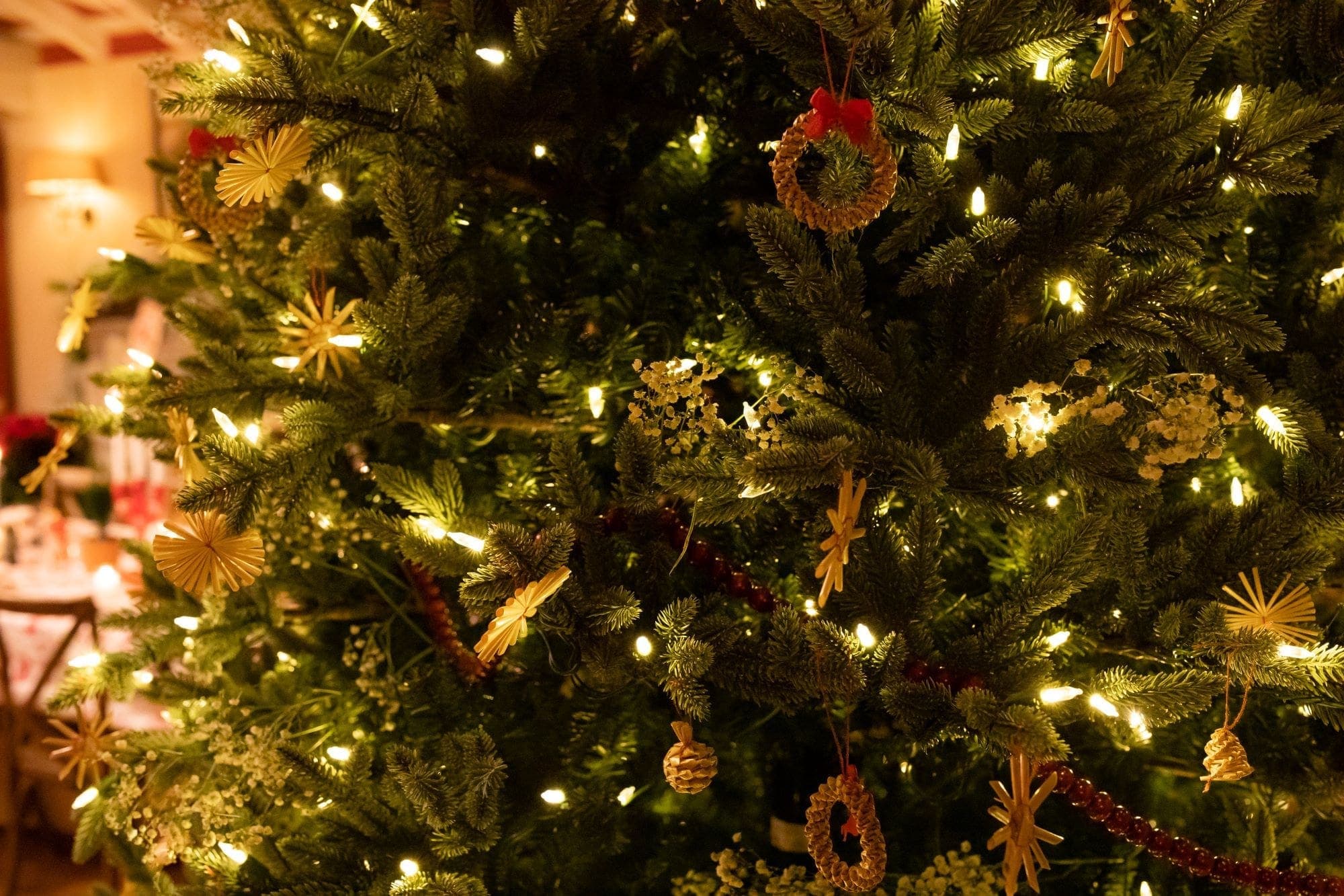 close up of Christmas tree with ornaments and lights