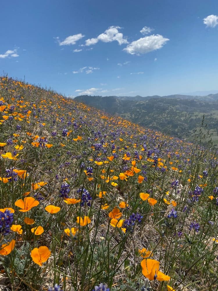 Mother's Day | Alisal Ranch