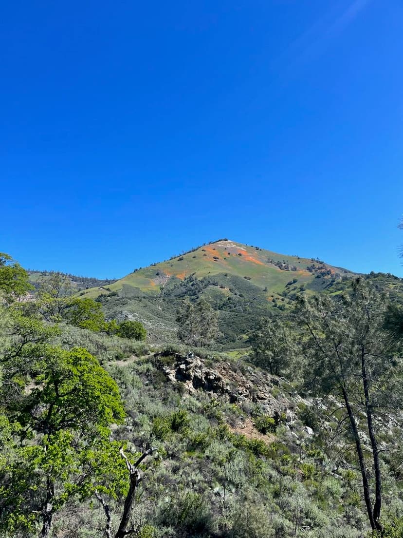 view of grass hill from the bottom