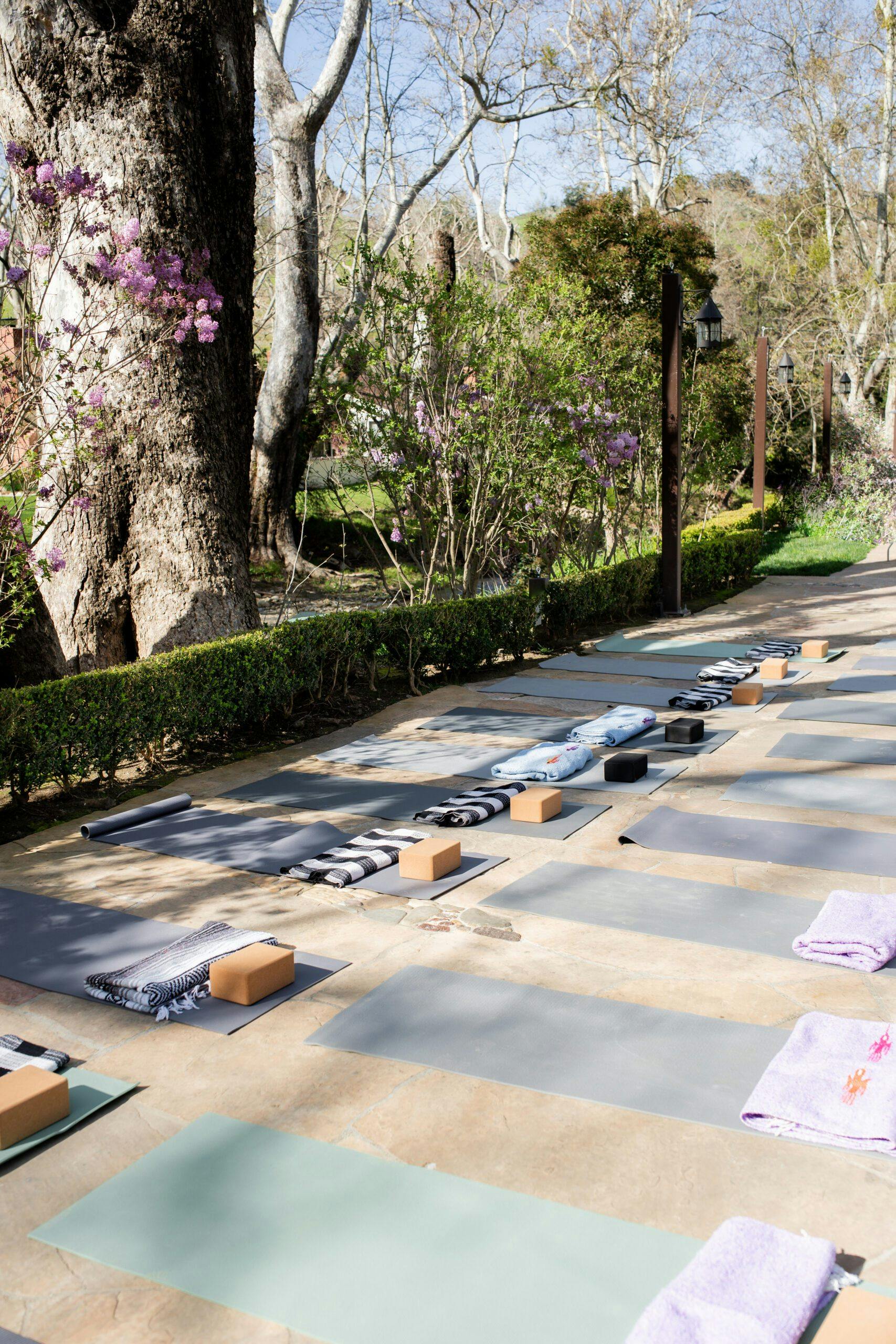 outdoor yoga setup for a group of people