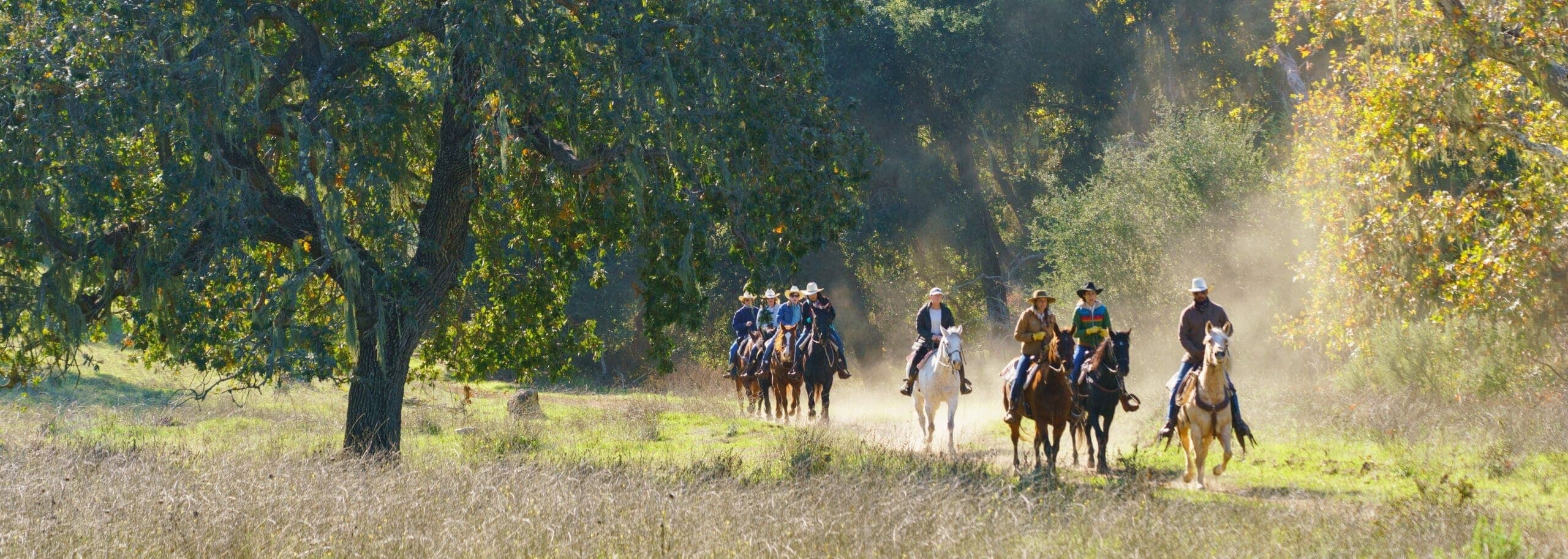 group of people riding horses