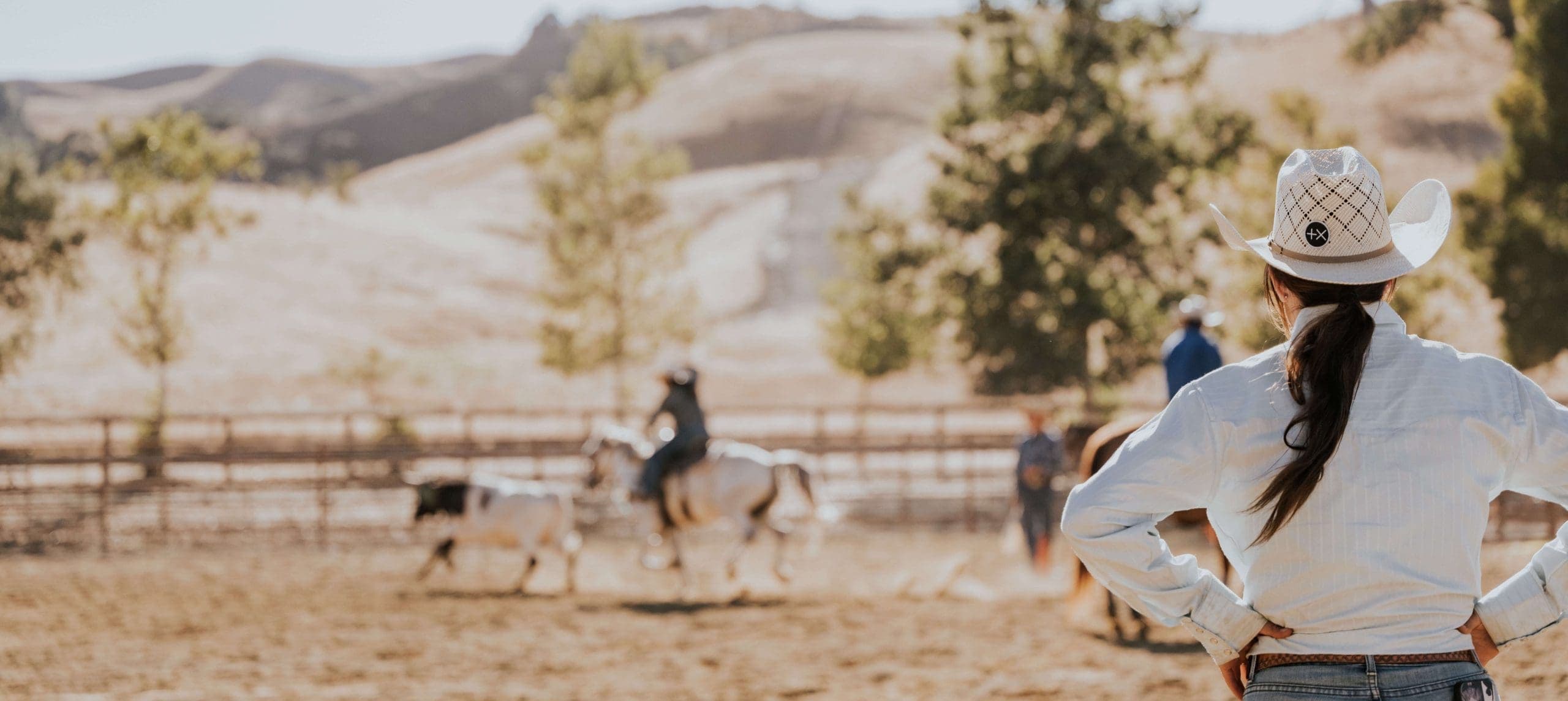 person watching cowboys rope a cattle
