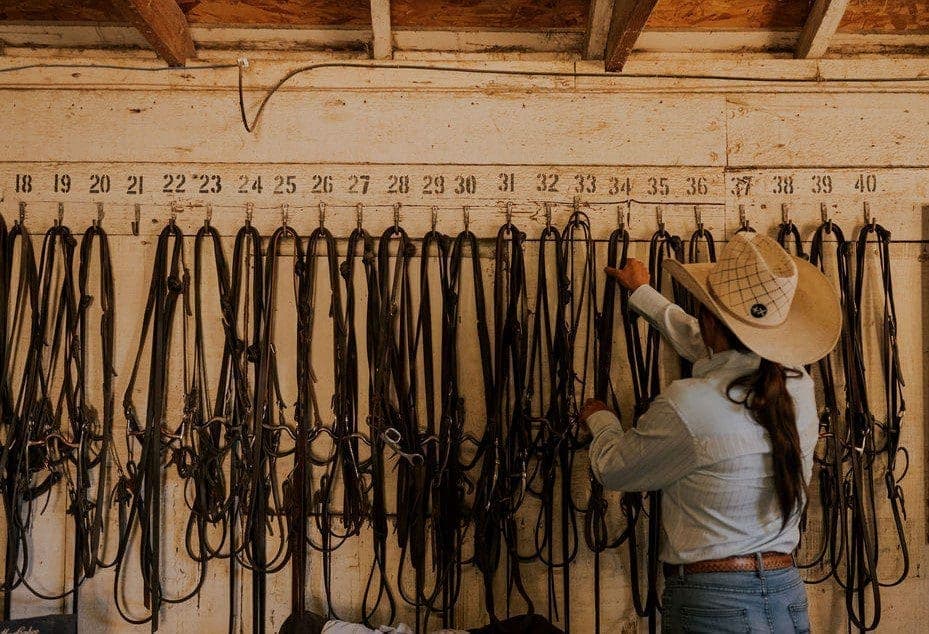 person hanging reigns on a wall