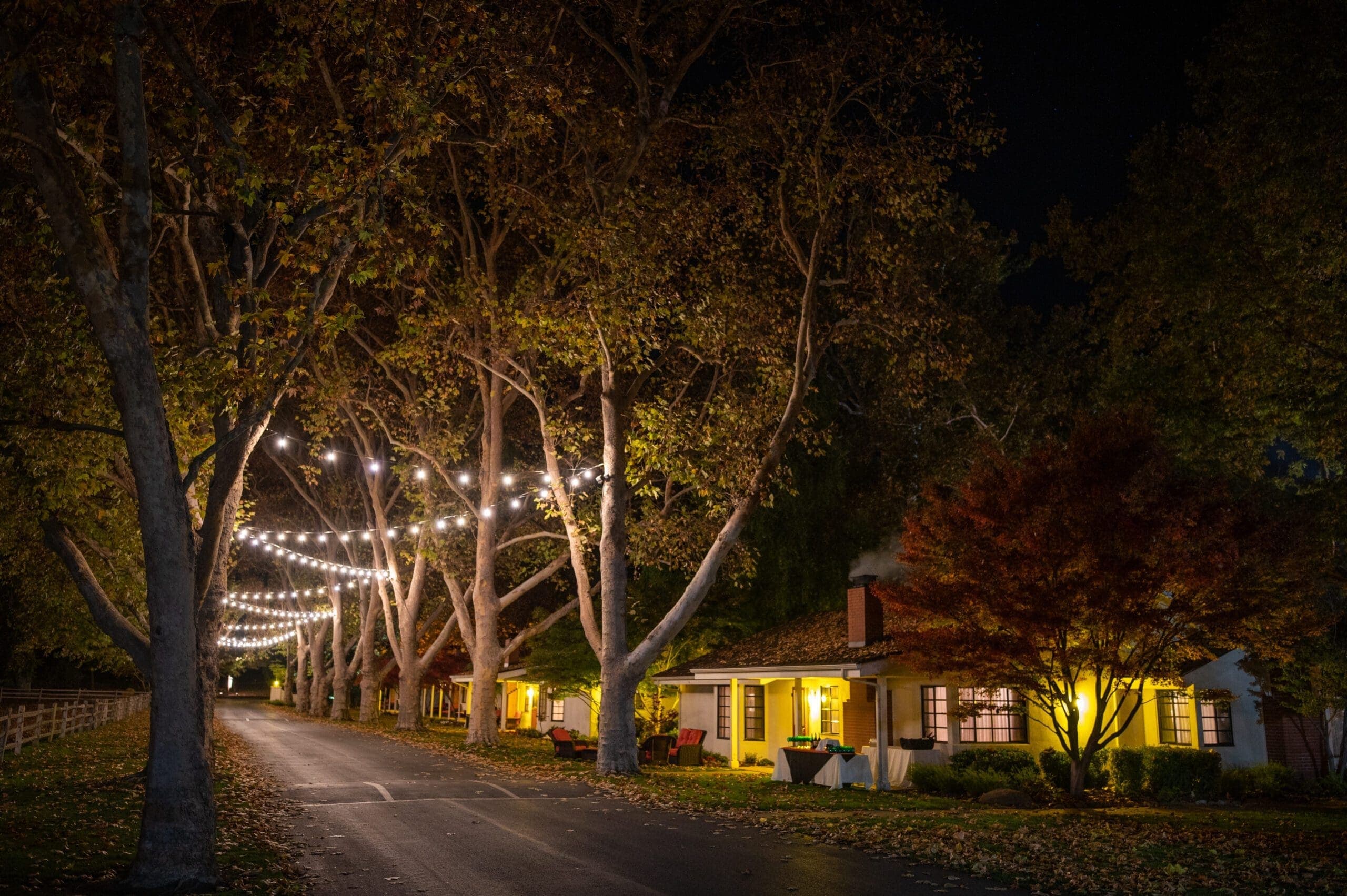 lights hanging on the trees that are on the cement path with buildings on the side